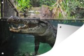 Muurdecoratie Krokodil - Reptielen - Tanden - 180x120 cm - Tuinposter - Tuindoek - Buitenposter