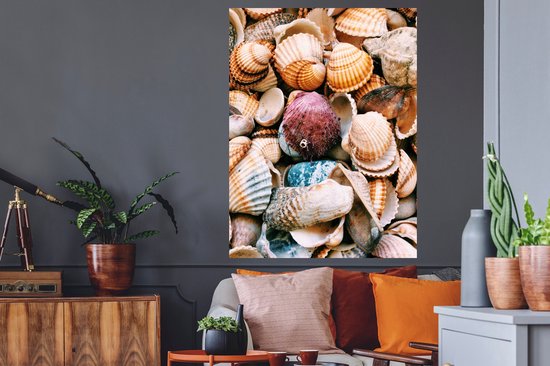 Sticker Muursticker Coquillages - Coquillages de Grèce - 90x120 cm - Film adhésif autocollant - Sticker mural repositionnable
