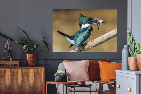 Sticker Muursticker Prédateurs - Martin pêcheur en gros plan avec proie - 120x80 cm - film adhésif autocollant - sticker mural repositionnable