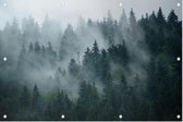 Misty Forest - Foto op Tuinposter - 60 x 40 cm