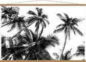 Schoolplaat – Zwart/Wit Onderaanzicht van Palmbomern - 120x80cm Foto op Textielposter (Wanddecoratie op Schoolplaat)