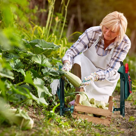 Vrouw met tuinkniebank oogst courgette, terwijl ze in een houten krat legt.