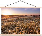 Porte-affiche avec affiche - Affiche scolaire - Fleurs - Printemps - Coucher de soleil - 90x60 cm - Lattes vierges