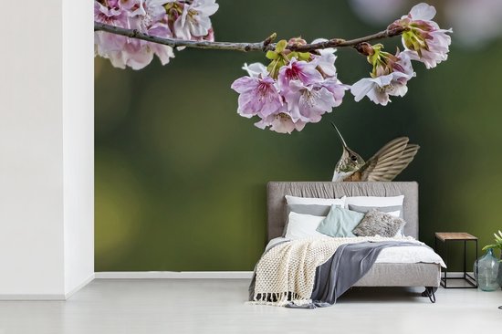 Colibri flottant sous les fleurs de cerisier papier peint photo vinyle largeur 450 cm x hauteur 300 cm - Tirage photo sur papier peint (disponible en 7 tailles)