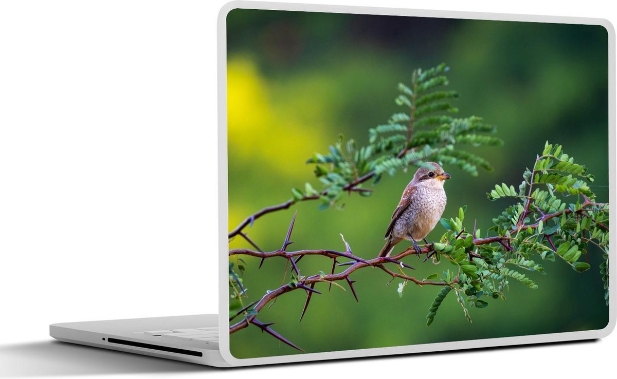 Laptop sticker - 14 inch - Vogel - Boom - Bos - 32x5x23x5cm - Laptopstickers - Laptop skin - Cover