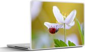 Laptop sticker - 15.6 inch - Bloem - Insect - Lente - 36x27,5cm - Laptopstickers - Laptop skin - Cover