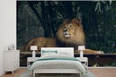 Papier peint - Papier peint photo Lion - Forêt - Sauvage - Largeur 600 cm x hauteur 400 cm