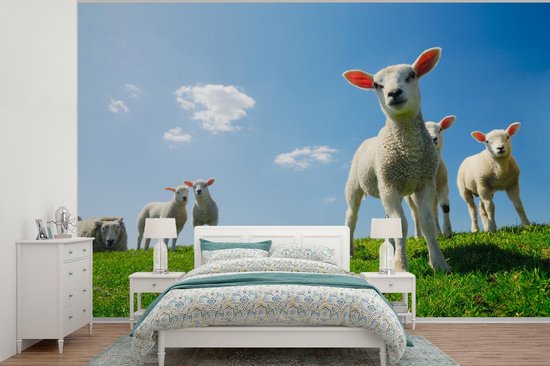 Hoge kast met vleugeldeuren: breedte 600 mm | VINK LISSE Hoge kast met vleugeldeuren: breedte 600 mm | VINK LISSE