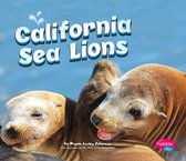 Marine Mammals - California Sea Lions