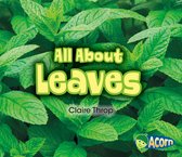 All About Plants - All About Leaves