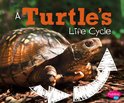 Explore Life Cycles - A Turtle's Life Cycle