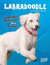 Top Hybrid Dogs - Labradoodle