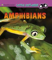 Little Zoologist - Amphibians