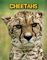 Living in the Wild: Big Cats - Cheetahs
