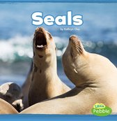 Mammals In the Wild - Seals