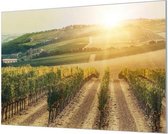Wandpaneel Wijn landgoed  | 210 x 140  CM | Zilver frame | Wandgeschroefd (19 mm)