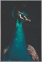 JUNIQE - Poster met kunststof lijst Peacock And Proud -40x60 /Ivoor &