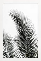 JUNIQE - Poster met houten lijst Palm Leaves 1 -30x45 /Kleurrijk
