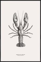 JUNIQE - Poster in kunststof lijst American Lobster -40x60 /Grijs &