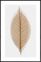 JUNIQE - Poster in kunststof lijst Skeleton of a Leaf II -40x60 /Bruin