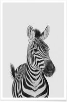 JUNIQE - Poster Zebra Classic -13x18 /Wit & Zwart