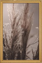 JUNIQE - Poster met houten lijst Pampas Reed 06 -13x18 /Bruin