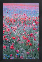 JUNIQE - Poster in houten lijst Poppy Seed Heaven -60x90 /Groen & Rood