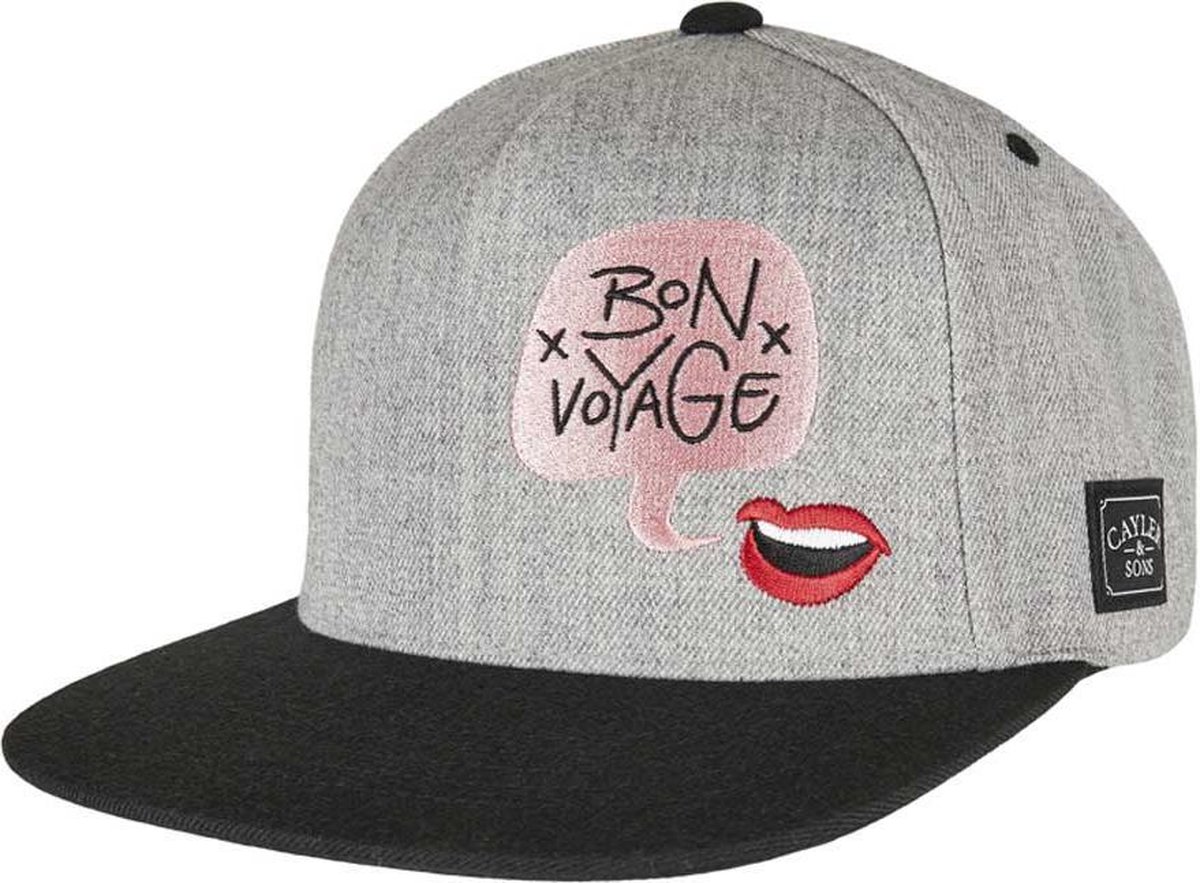 Cayler & Sons Snapback Pet Bouble Voyage Grijs