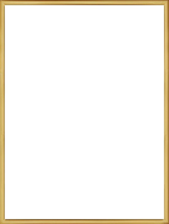 Homedecoration Almelo – Fotolijst – Fotomaat – 42 x 54 cm – Vintage Goud