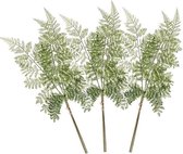 3x Kunstplanten bosvaren takken 58 cm groen - 3x Kunsttakken bosvaren