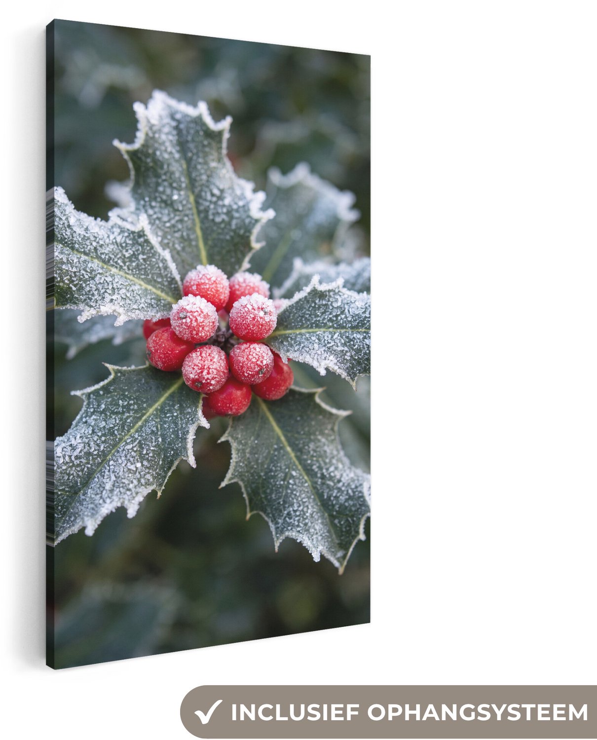 Canvas schilderij 80x160 cm - Exclusieve wanddecoratie Plant - Berijpte - Winter - Muurdecoratie woonkamer - Slaapkamer decoratie - Kamer accessoires - Schilderijen op canvas groot XXL