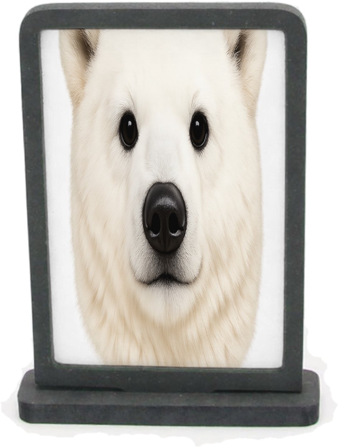 Mr Cadeautjes Houten fotolijst rechthoek met MDF inleg - design Een opvallende kopillustratie met zachte pluche-textuur en e | cadeau Wit