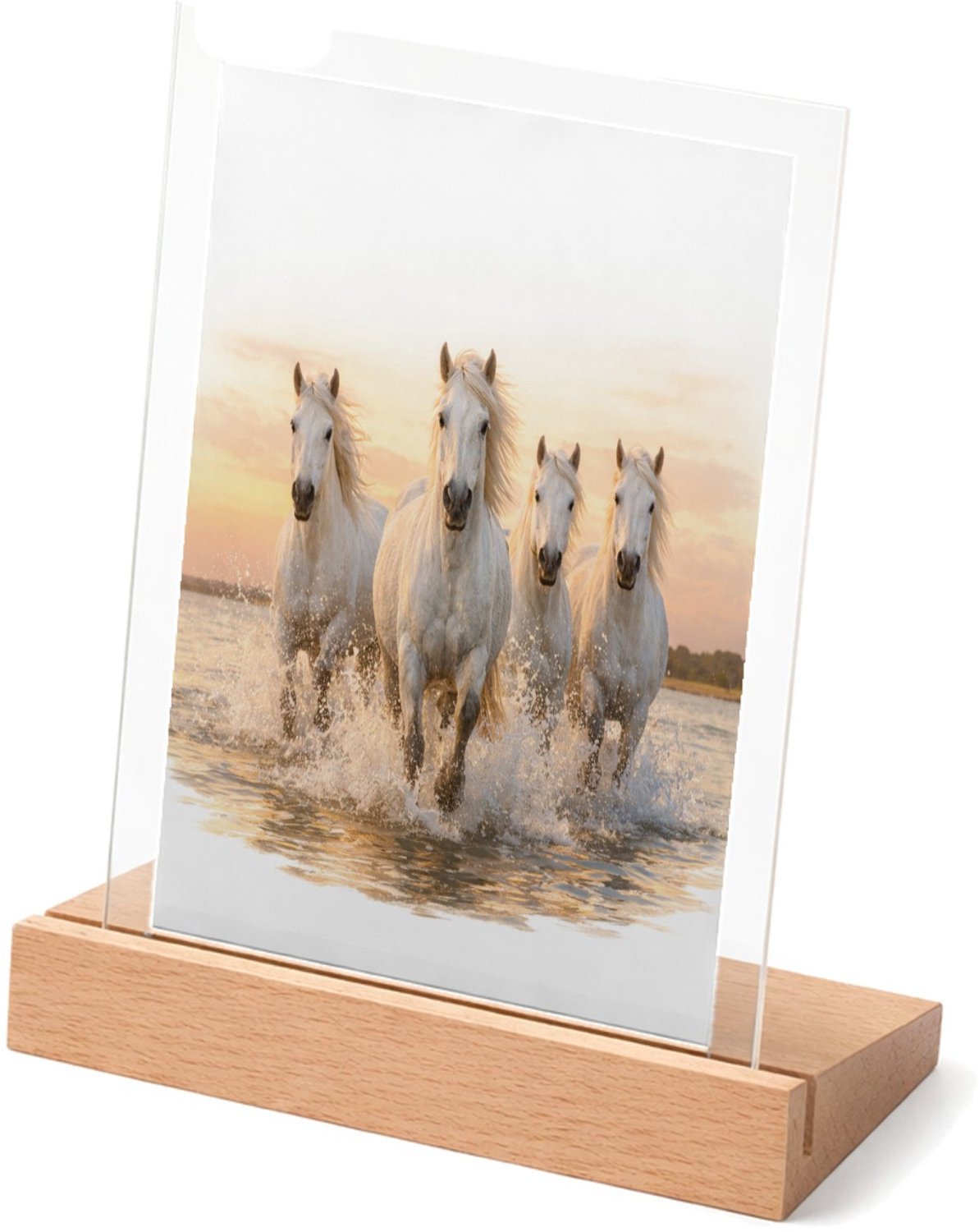 Mr Cadeautjes Glasframe met vaste tekst - design Een dynamische natuurscène met een enkele centrale hoofdfigu | cadeau Wit