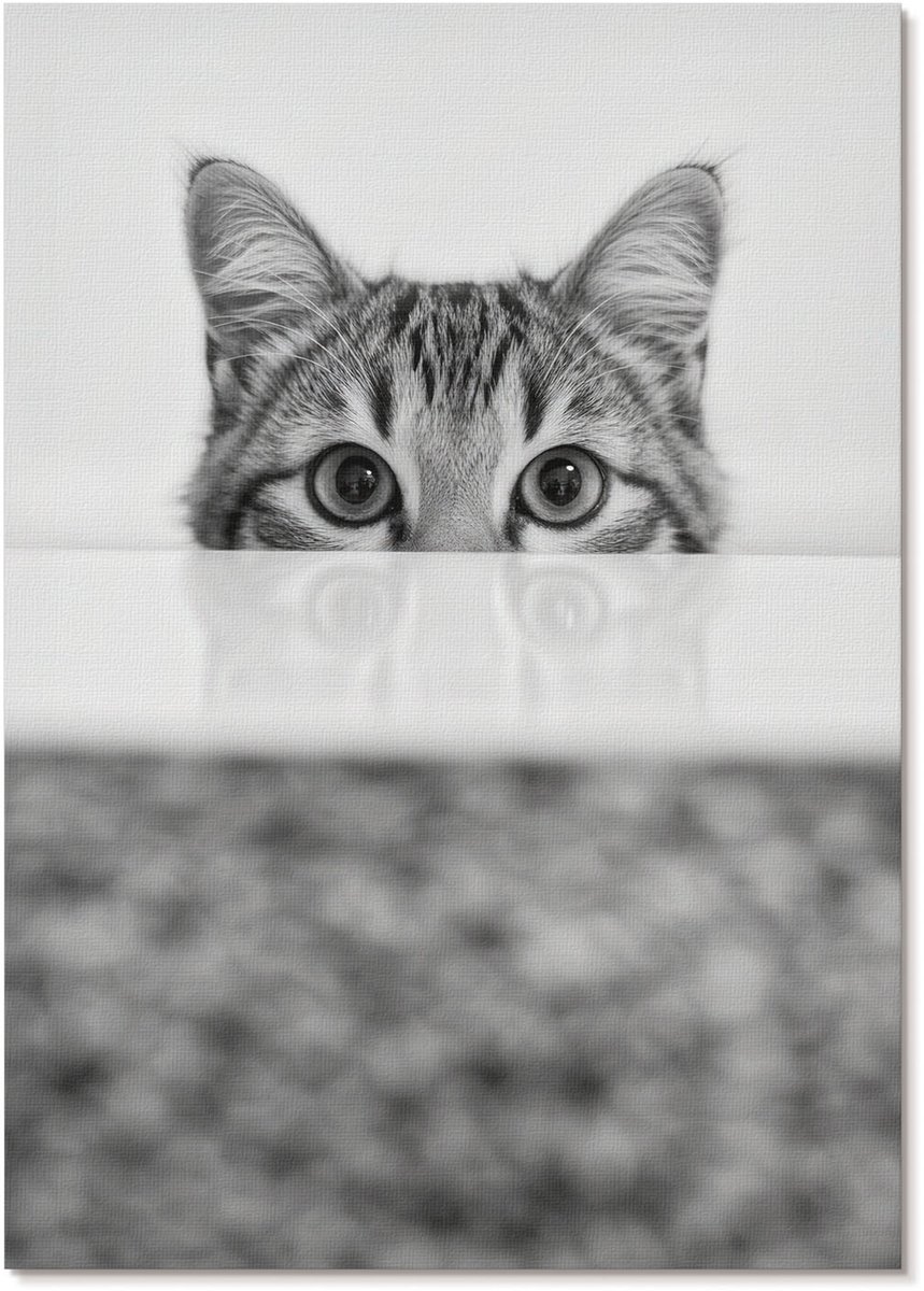 Tulup Polycanvas Poster - Kattenportret, Fotografie - A4 - Zwart-wit Wandposter - Rechthoek - Muurdecoratie - Woonkamer, Slaapkamer, Kantoor - Minimalist