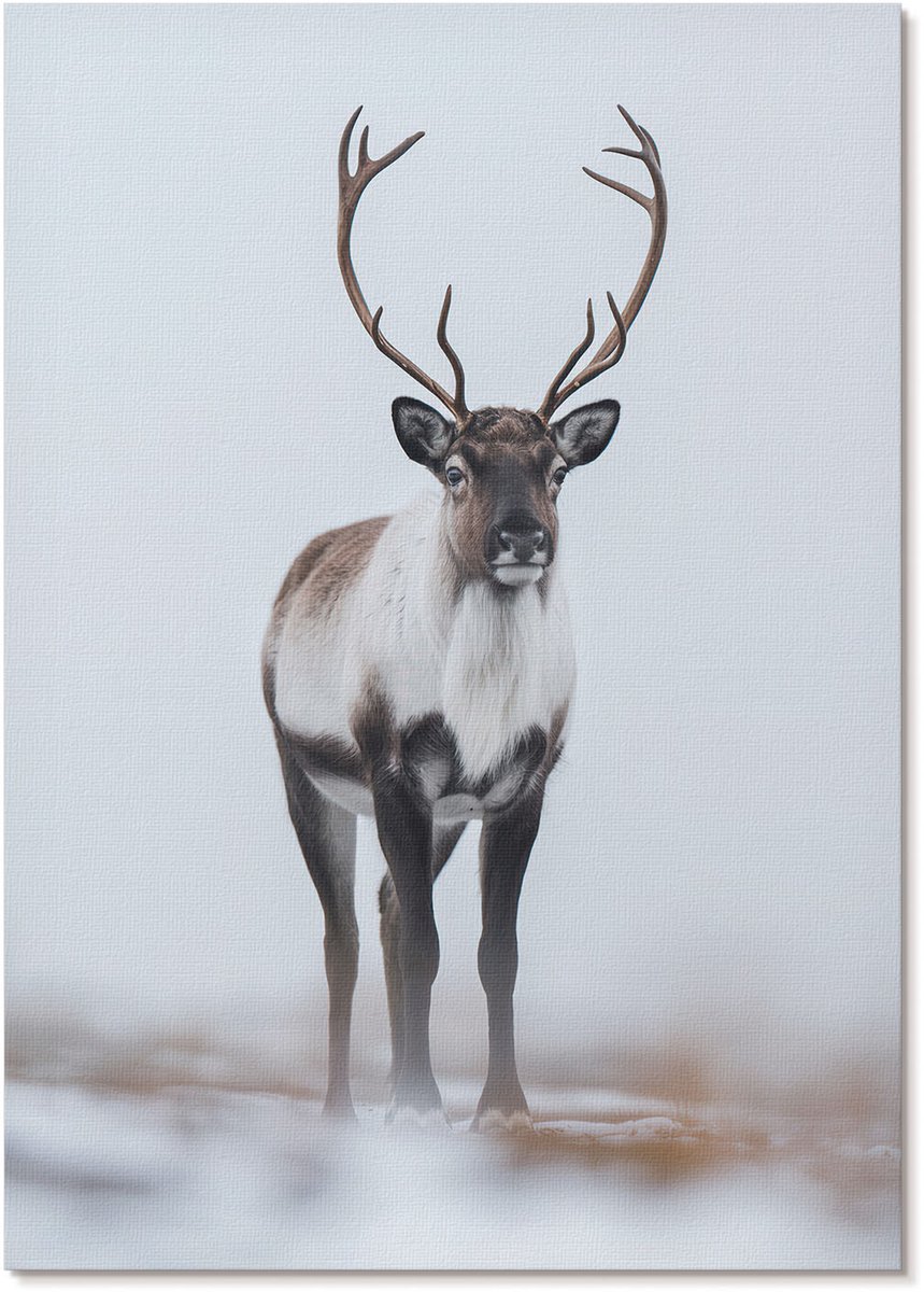 Tulup Polycanvas Wandposter - Winterrendieren, Fotografie - A4 - Wit Wanddecoratie - Rechthoek - Wandkunstwerk - Woonkamer, Slaapkamer, Kantoor - Modern