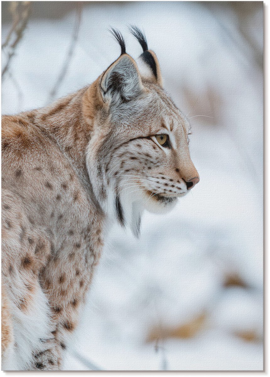 Tulup Polycanvas Wandposter - Winterlynx, Fotografie - A4 - Wit Poster - Rechthoek - Muurkunst - Woonkamer, Slaapkamer, Kantoor - Modern