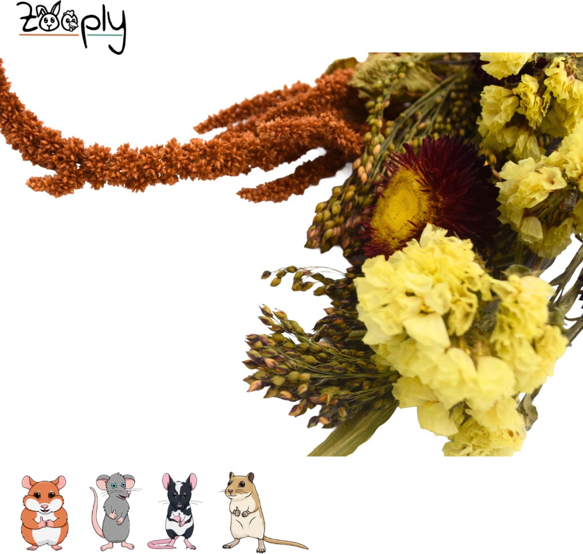 Zooply Zomer boeket - 100 gram - in koker