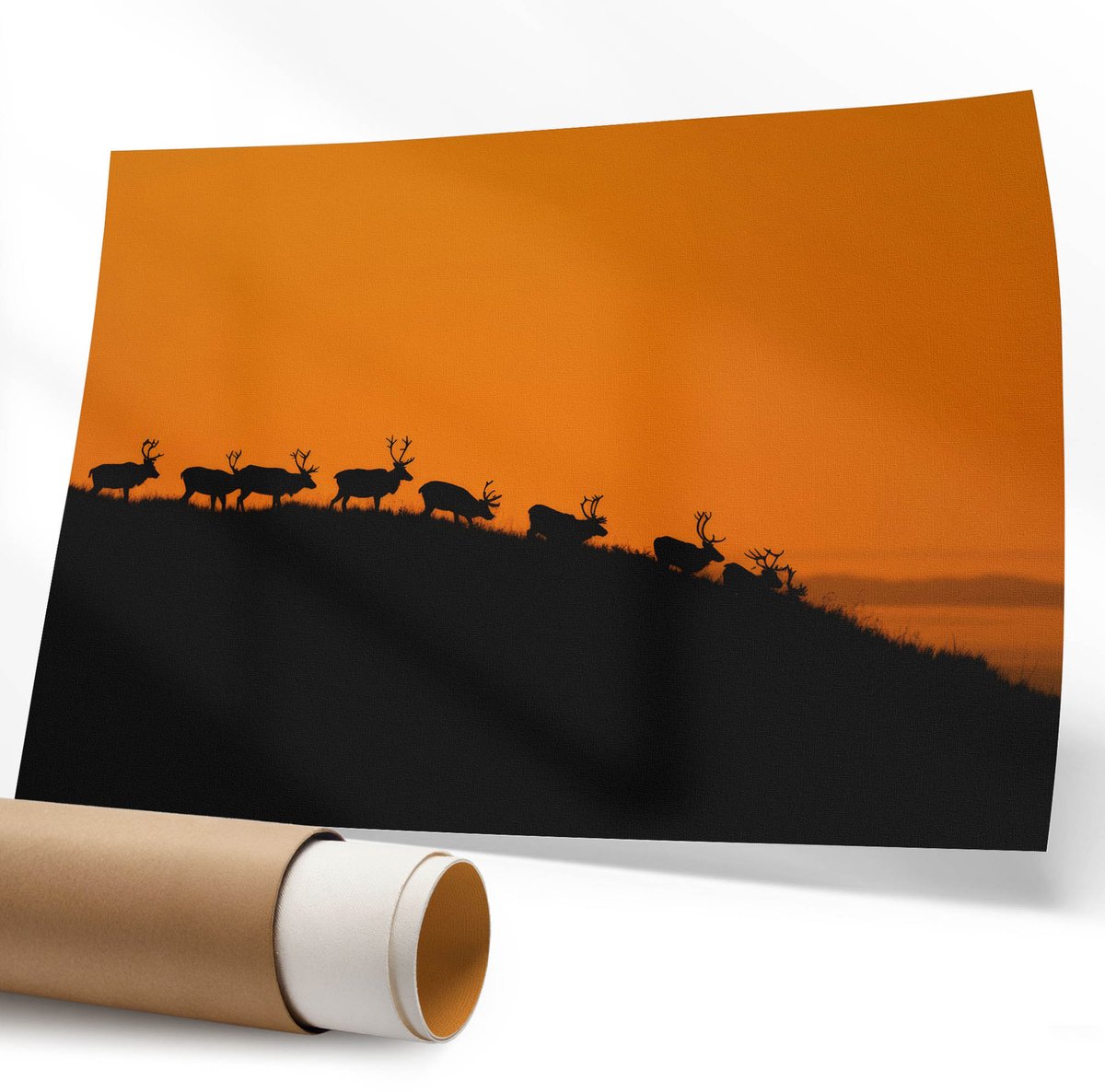 Coloray Canvas Poster Polycanvas - Minimalistisch Portret, Fotografie - 594 x 840 mm - Zwart-wit Poster - Rechthoek - Decoratieve poster - Kantoor - Modern