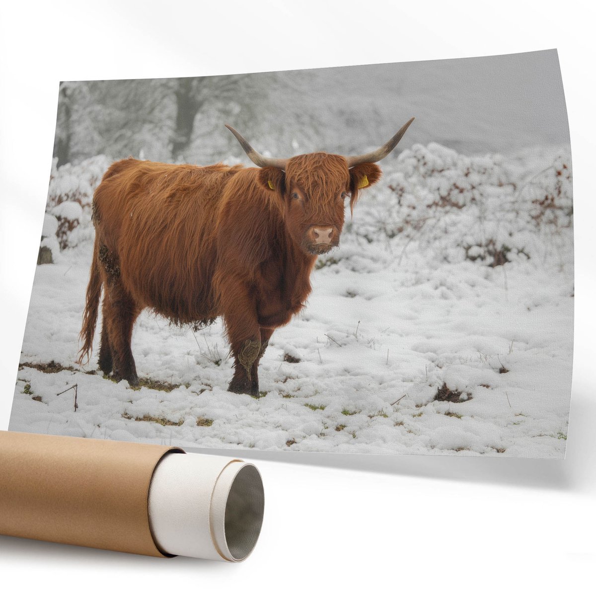 Coloray Polycanvas Wandposter - Bosuil, Fotografie - 594 x 840 mm - Groen Patroon - Rechthoek - Interieurdecoratie - Kantoor - Klassiek