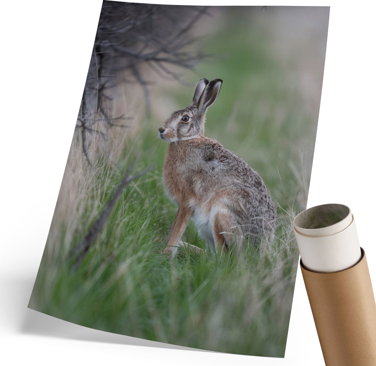 Coloray Canvas Poster Polycanvas - Haas In De Natuur, Fotografie - 210 x 297 mm - Groen Patroon - Rechthoek - Decoratieve poster - Woonkamer, Slaapkamer, Kantoor - Modern