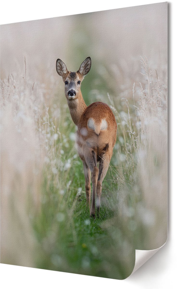 Coloray Polycanvas Poster - Herten Natuur, Fotografie - 594 x 840 - Groen Wanddecoratie - Rechthoek - Kunstposter - Slaapkamer - Klassiek