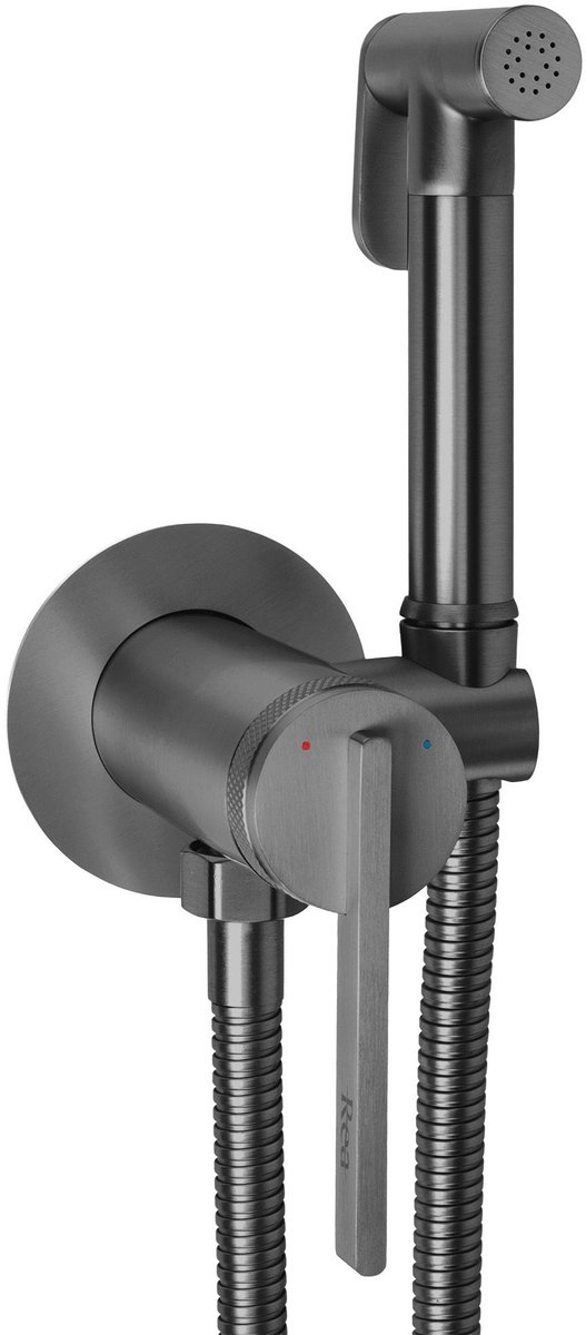 Rea - Mitigeur De Bidet Grace Titan - 5,5 x 2 x 12,5 cm
