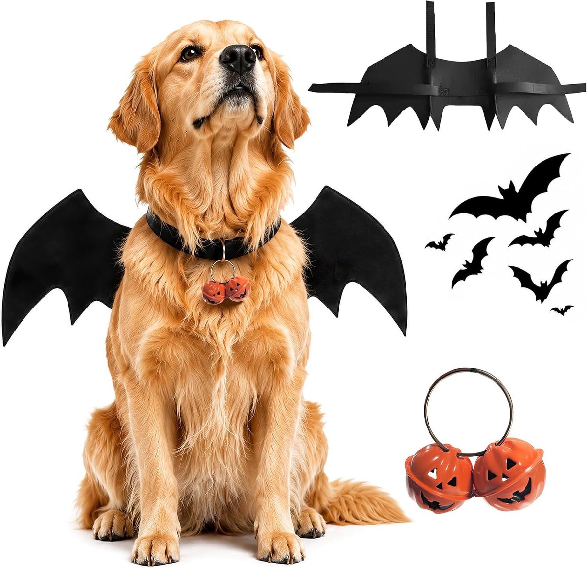 Vleermuisvleugels voor honden en katten, schattig Halloween-kostuum met pompoenbel, ideaal voor feestjes en carnaval