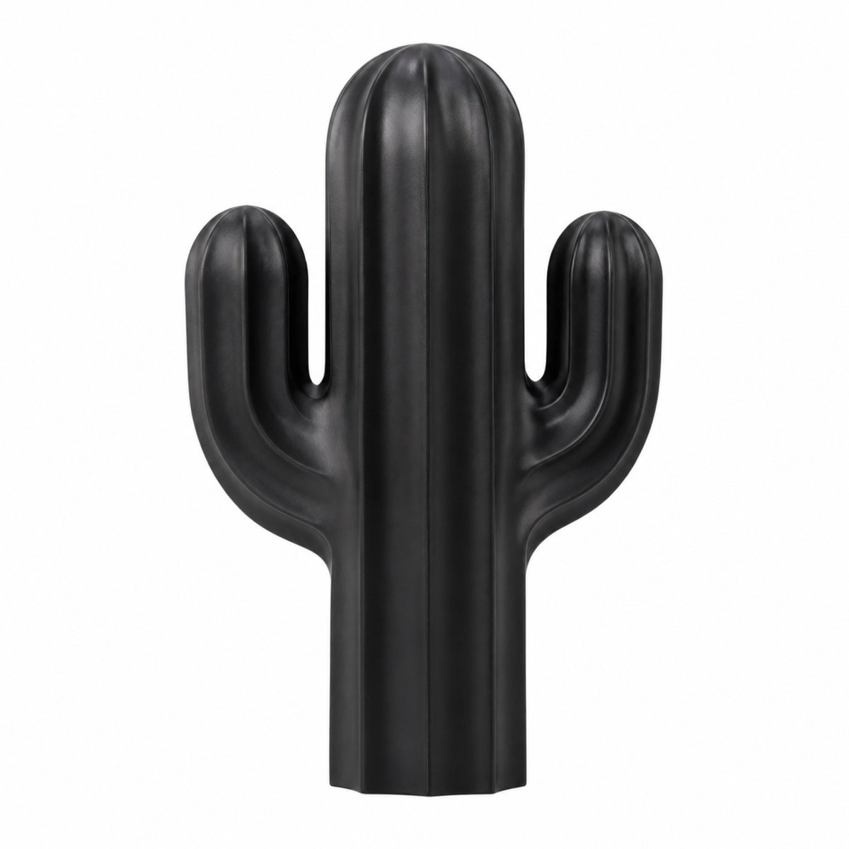 Fiastra Cactus decoratief beeld - Zwart