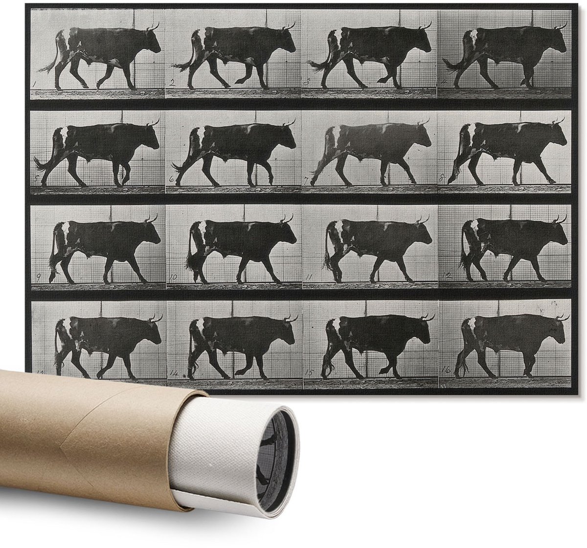 Coloray Polycanvas Wandposter – Stier Op Mars, Zwart – A1 – Wit Design – Rechthoek – Wandkunst – Woonkamer – Modern