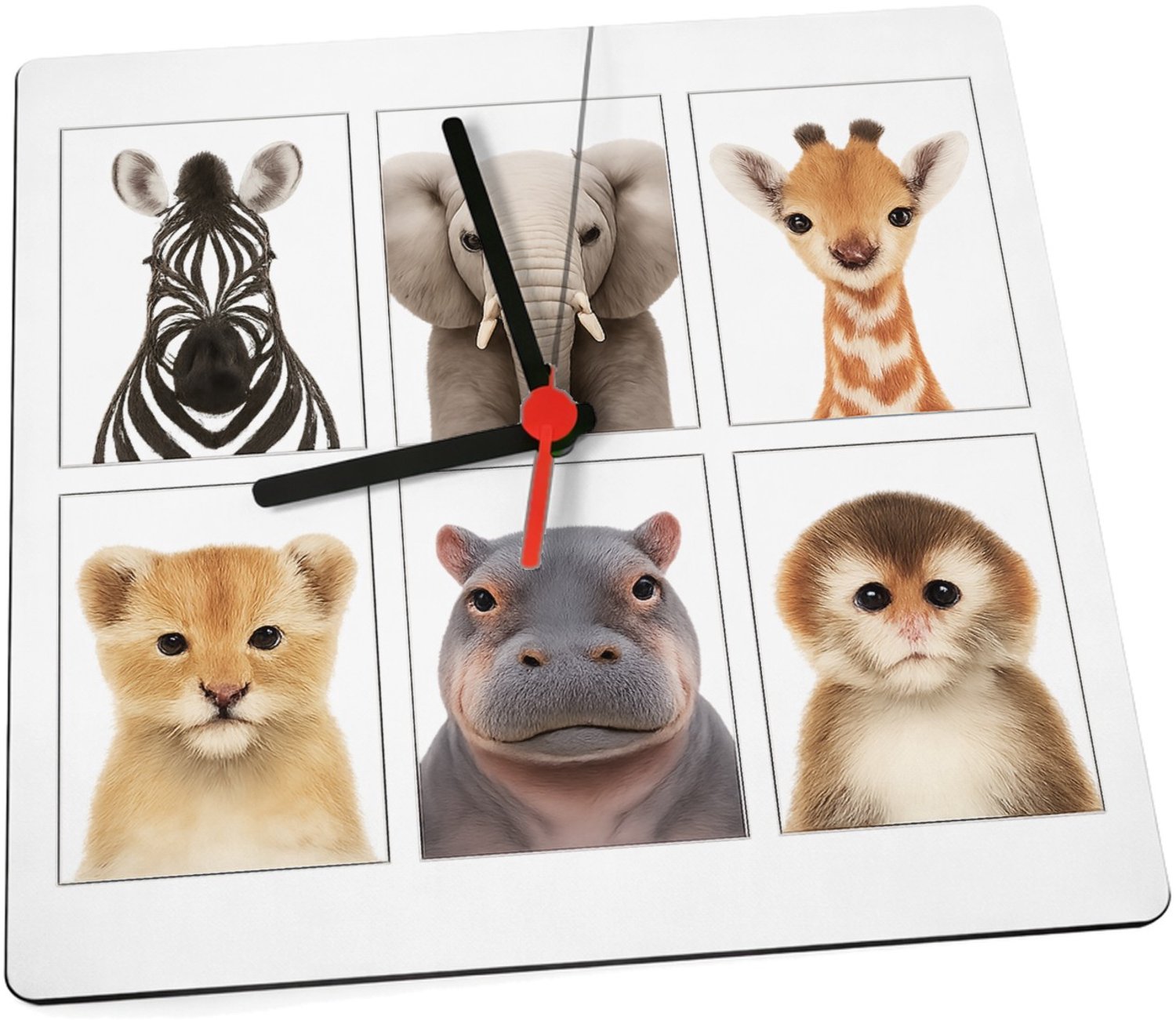 Mr Cadeautjes Klok 19 x 19 - design Vier rustige dierenportretten in een strak museumgrid | cadeau Wit