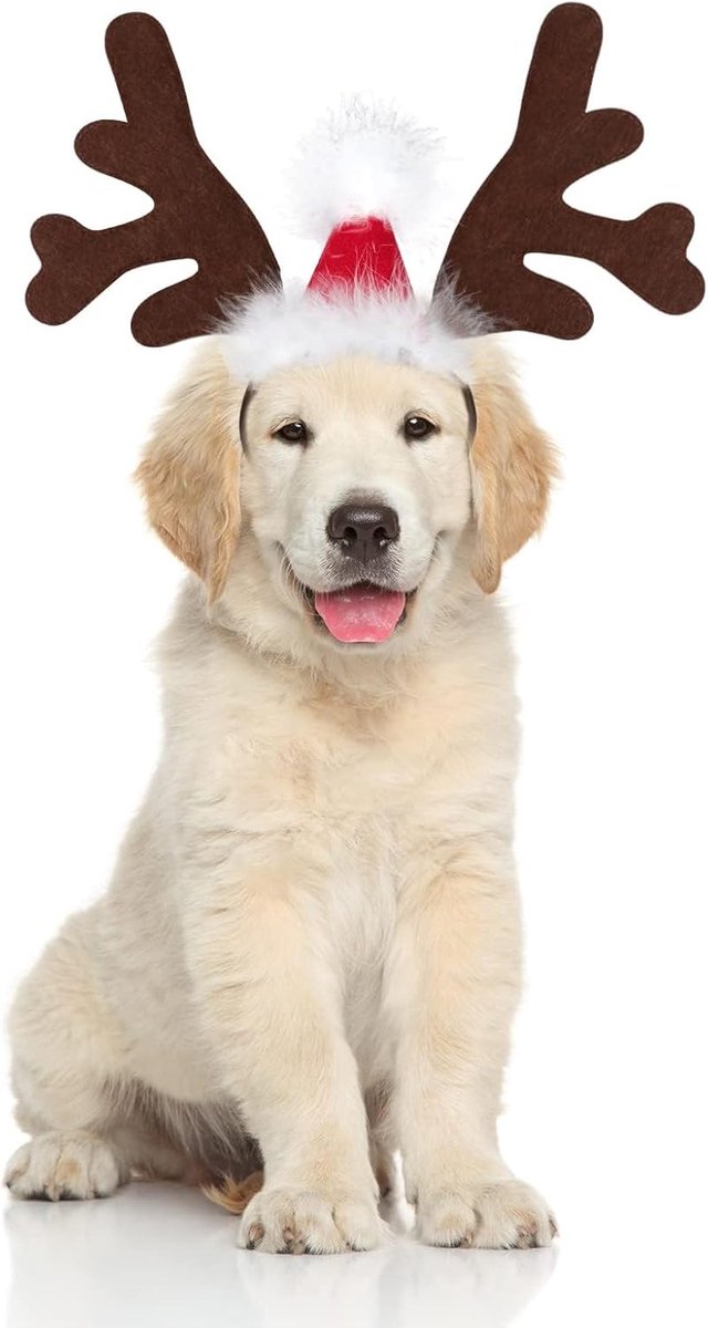 Kerstmuts voor honden, haarband voor huisdieren, rendiergewei, verstelbaar, bruin, hond, kat, gewei, voor kerstfeest, accessoires voor huisdieren (A)