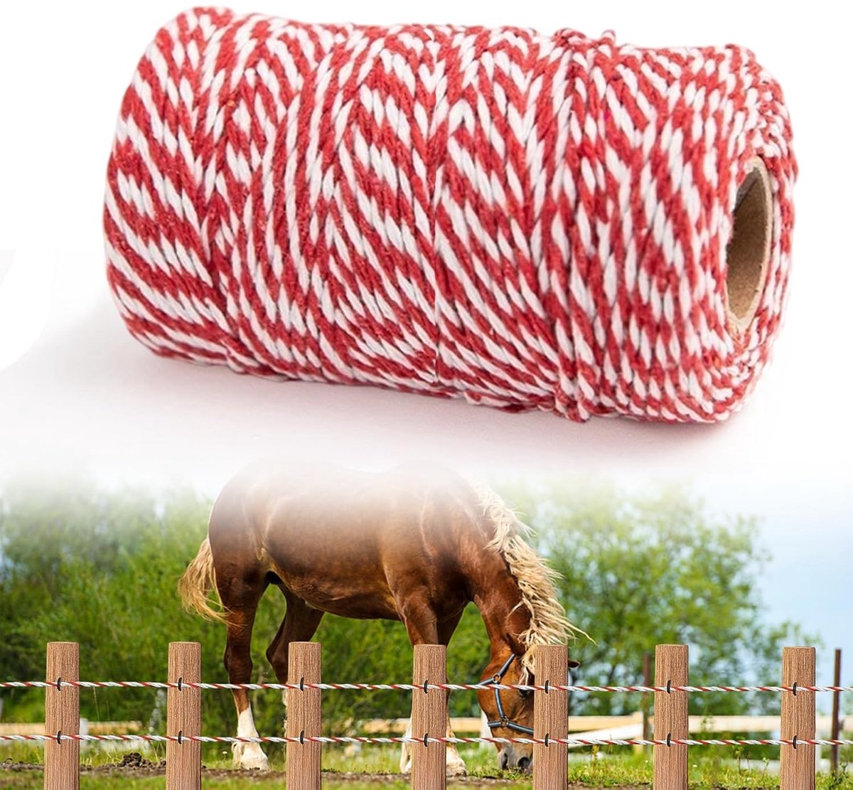 200 m, 2 mm elektrische omheining strengen weihek paarden