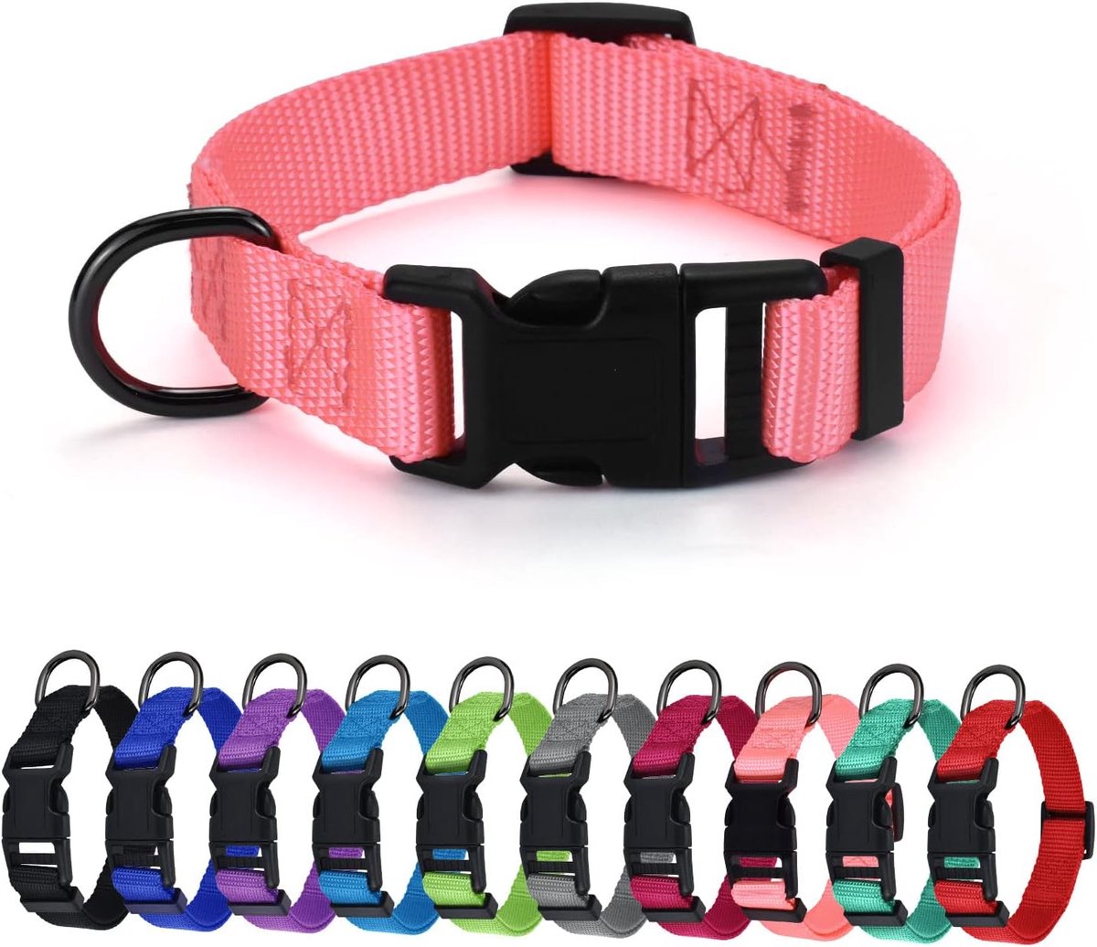 SnelShoppen - Dikke Nylon Hondenhalsband, Verstelbare Hondenkraag in Meerdere Kleuren, Geschikt voor Kleine, Middelgrote en Grote Honden, 4 Maten Besc