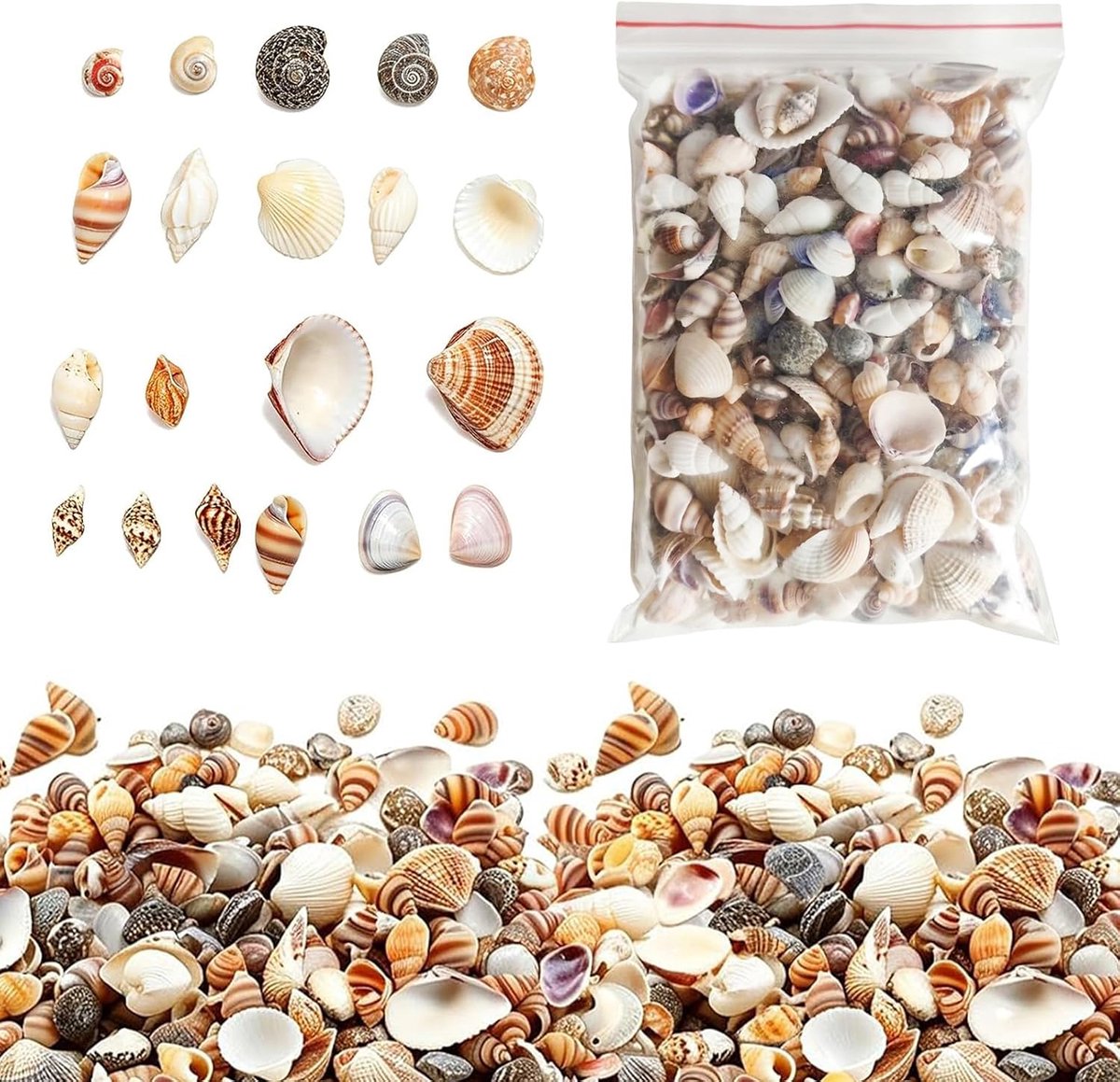 Decoratieve schelpen, 200 stuks (100 g), gemengde mini-schelpen 0,5-2 cm om te knutselen, schelpen voor halskettingen, zeedecoraties voor aquarium, vaasvulling en kaarsen